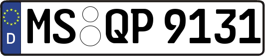MS-QP9131