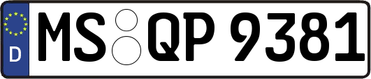 MS-QP9381