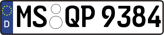 MS-QP9384
