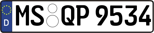 MS-QP9534