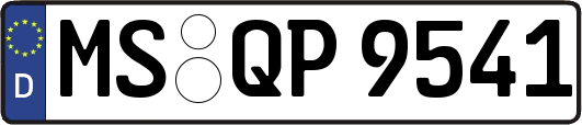 MS-QP9541