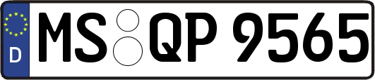 MS-QP9565