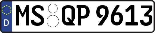 MS-QP9613