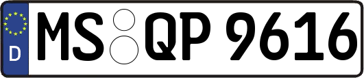 MS-QP9616
