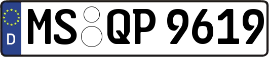 MS-QP9619