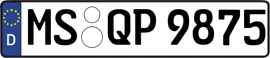 MS-QP9875