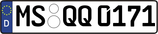 MS-QQ0171
