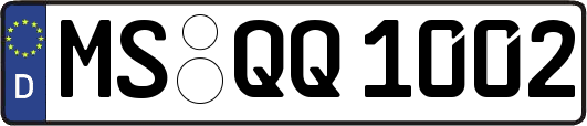 MS-QQ1002