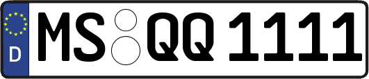 MS-QQ1111