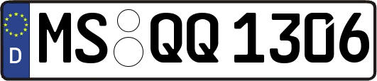 MS-QQ1306