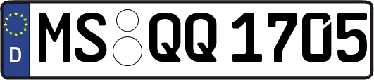 MS-QQ1705