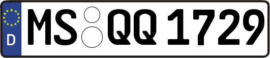 MS-QQ1729