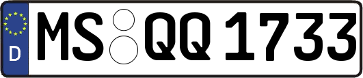 MS-QQ1733