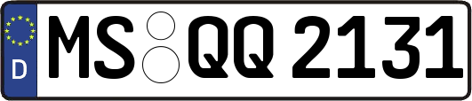 MS-QQ2131