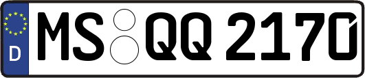 MS-QQ2170