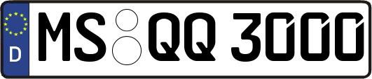 MS-QQ3000