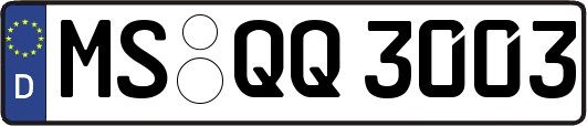 MS-QQ3003