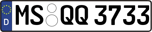 MS-QQ3733