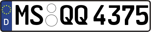 MS-QQ4375
