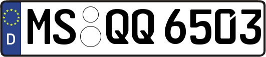 MS-QQ6503