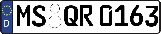 MS-QR0163