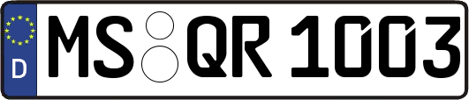 MS-QR1003