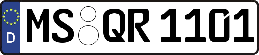 MS-QR1101