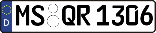MS-QR1306