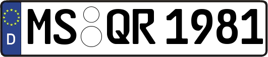 MS-QR1981