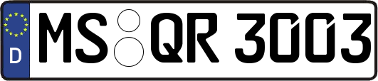 MS-QR3003