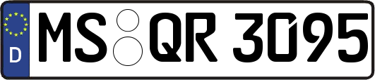 MS-QR3095