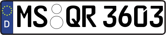 MS-QR3603