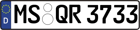 MS-QR3733