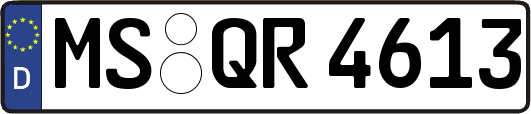 MS-QR4613
