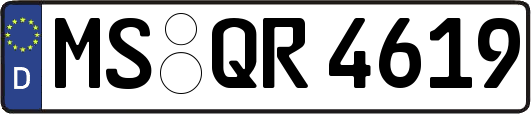 MS-QR4619