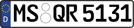MS-QR5131