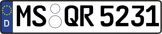 MS-QR5231