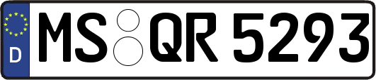 MS-QR5293