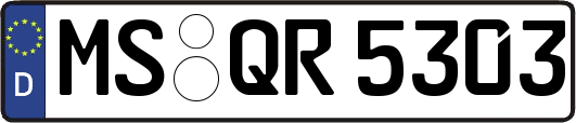 MS-QR5303