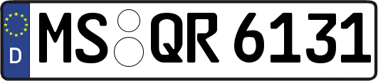 MS-QR6131