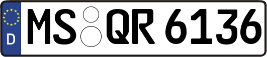 MS-QR6136