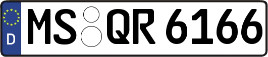MS-QR6166