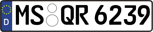 MS-QR6239