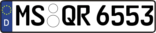MS-QR6553