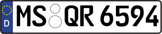 MS-QR6594