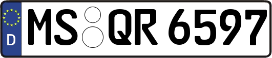 MS-QR6597