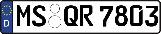 MS-QR7803