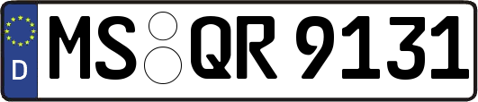 MS-QR9131