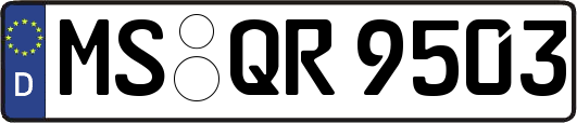 MS-QR9503