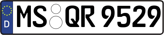 MS-QR9529